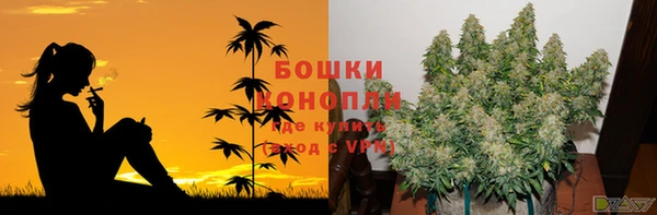 сатива Верхнеуральск